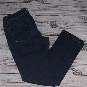 Dark Blue Wash Ann Taylor Jeans